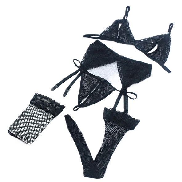 Sheer Mesh Bra - Lace Women Lingerie Set 4 Pcs
