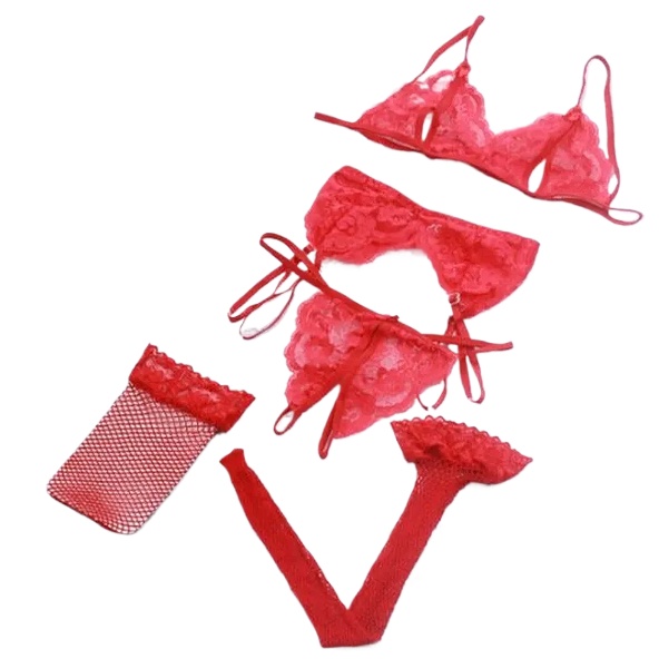 Lace Women Lingerie Set 4 Pcs  - Sheer Mesh Bra ulasan dan harga