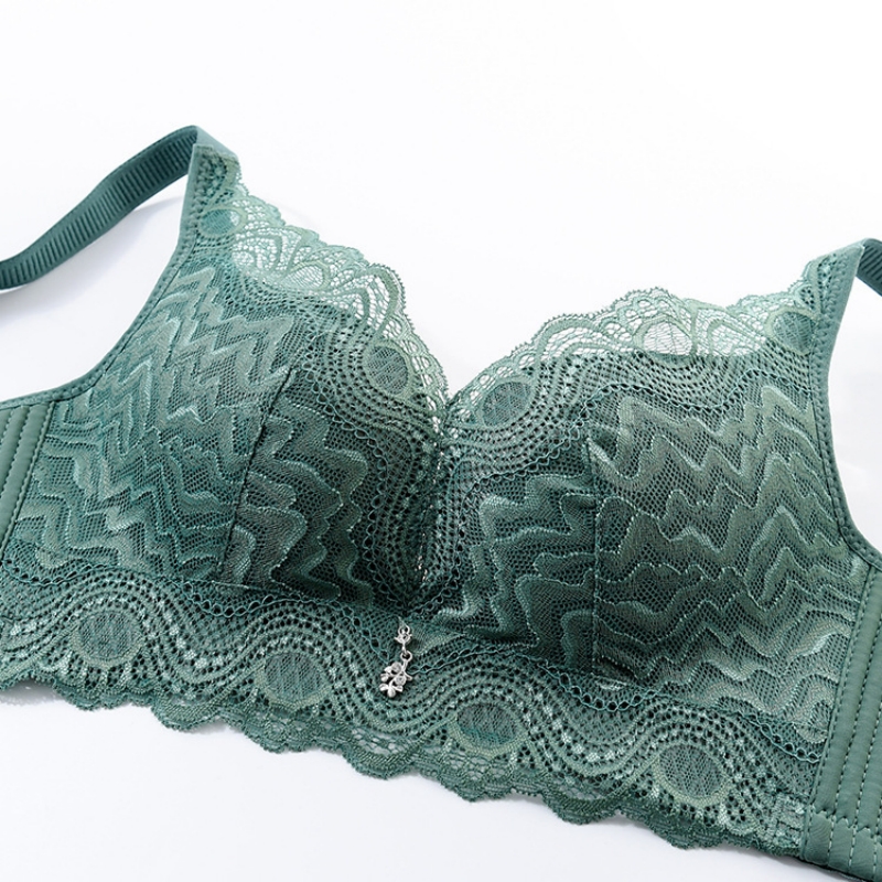 Women Lace Underwears Bra With - Nursing Bra Clip ulasan dan harga